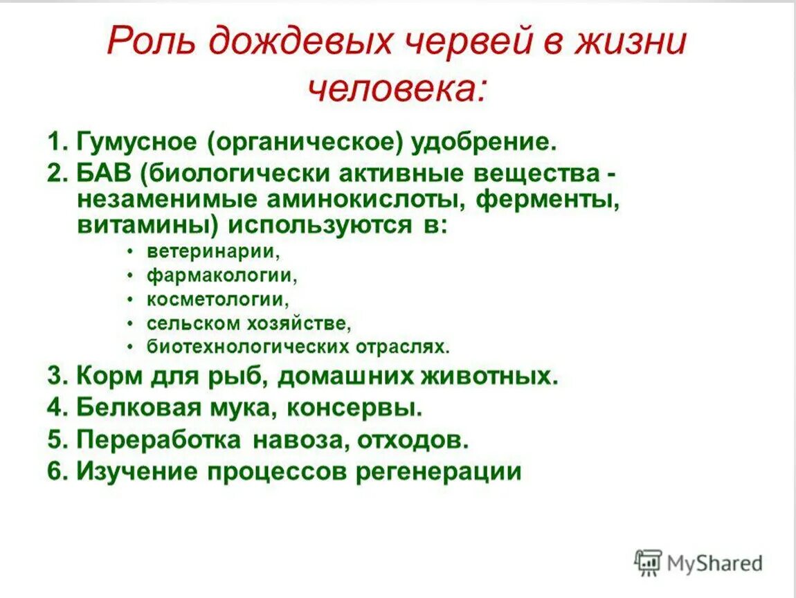 Роль дождевых червей в почвообразовании. Роль дождевых червей в почвообразовании. Как спариваются дождевые черви. Роль кольчатых червей в природе. Значение дождевых червей.