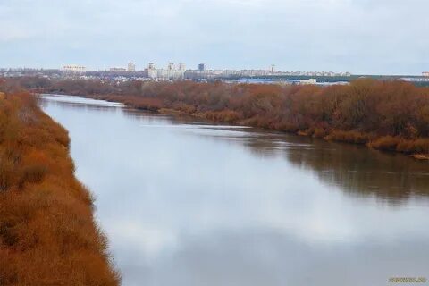Воронеж это дон