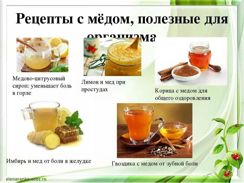 Рецепт здоровья. Полезные рецепты для здоровья. Рецепты с медом. Рецепты с медом для здоровья. Какой крайне полезно