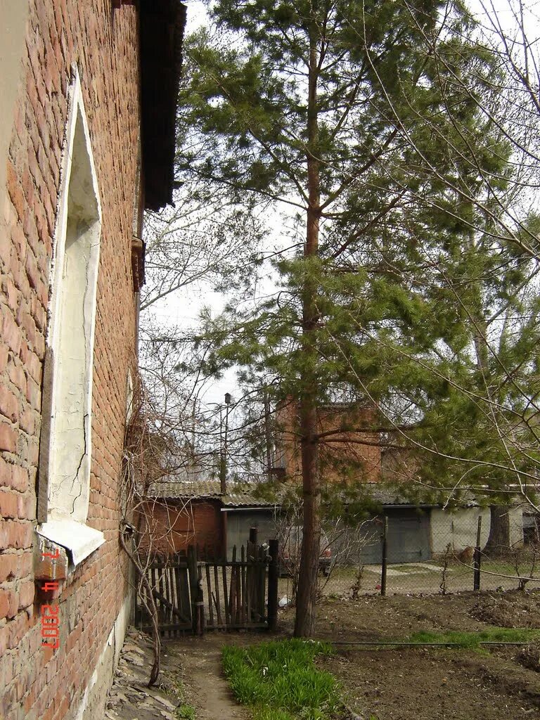 заводской район красный кут. красный кут саратовская область. комсомольская улица город красный кут саратовская область. красный кут центр города. проект проспекта красный кут.