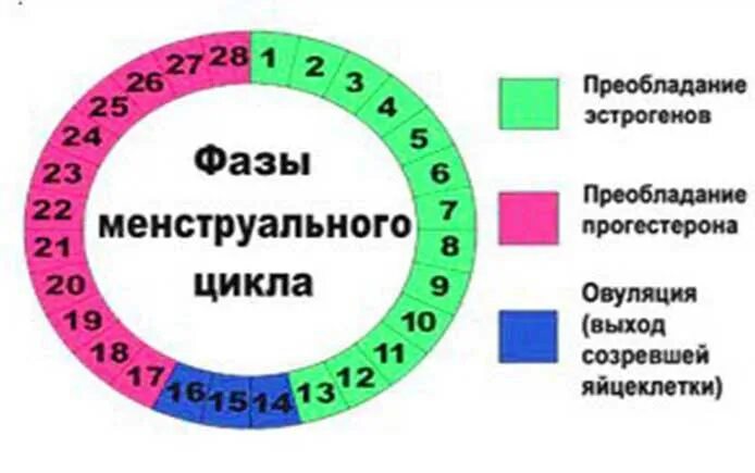 Вероятность забеременеть без овуляции. Опасные дни для зачатия. Самые неблагоприятные дни для зачатия. Опасные дни для беременности. Безопасные дни для ППА.