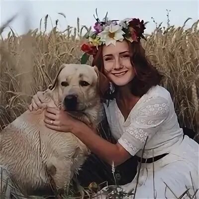 Собаки друзья песни