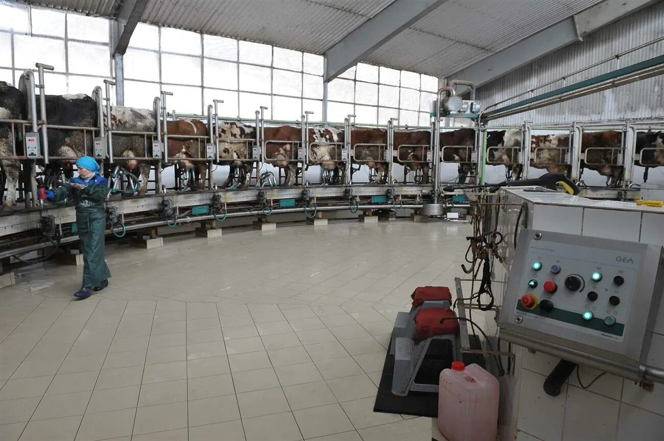 Бутылка молока пестравка. Самарский молокозавод. Самарский молокозавод. Саранский молочный комбинат продукция. Бутылка молока пестравка.