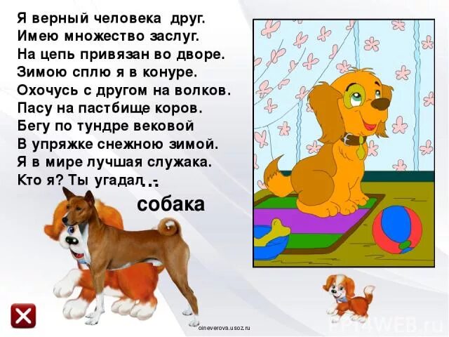 Стих про собаку. Короткий стих ребенок собака. Стих про собачку. Стихотворение про собаку. Стих про собаку для детей.