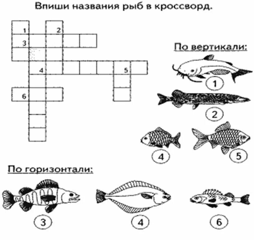 Аквариумная рыбка 6 сканворд. Кроссворд про рыб. Задания для детей о рыбах для дошкольников. Кроссворд с названием рыб. Кроссворд рыбы для детей.