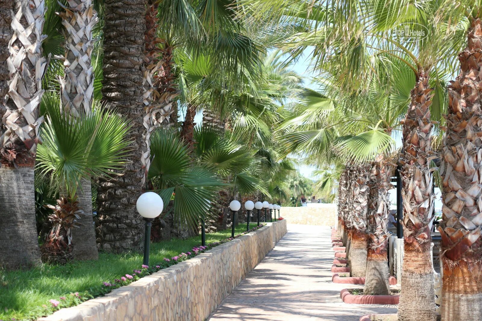 Кемер otium park club akman. Акман парк отзывы. Акман парк отзывы. Акман парк отзывы. Акман парк отзывы.