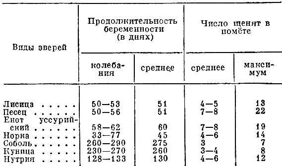 Сроки беременности у животных. Срок беременности у разных животных. Продолжительность беременности у разных видов животных. Длительность беременности у животных таблица. Срок беременности у коров