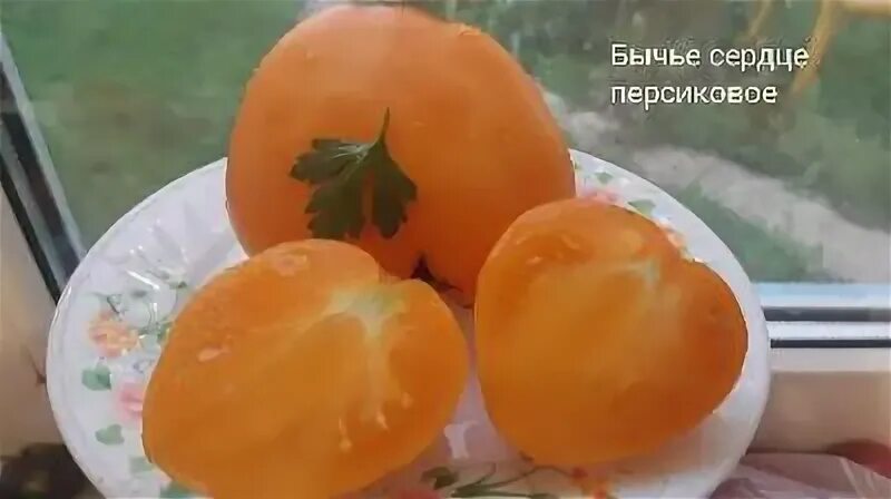 Томат сорт персик отзывы. Томат бычье сердце персиковое.