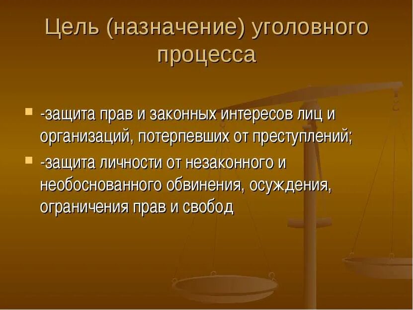 К целям уголовного процесса относится защита личности