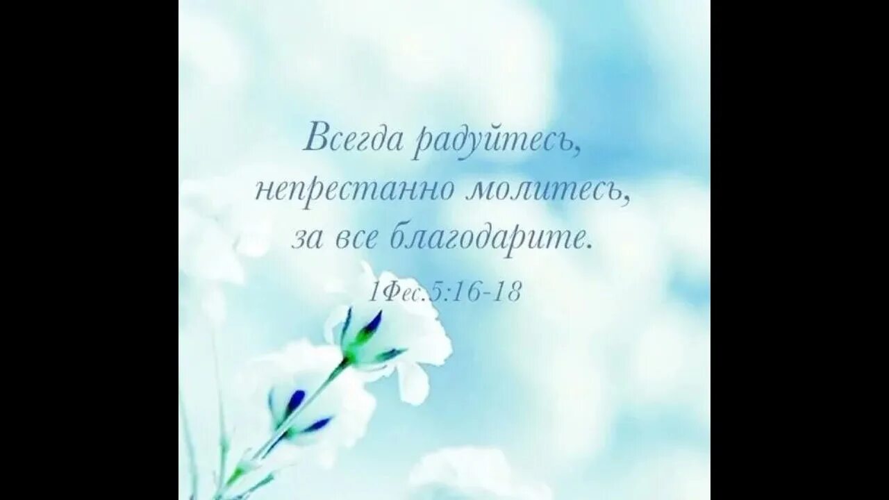 Радуйся молись благодари. Всегда радуйтесь непрестанно молитесь. Всегда радуйтесь непрестанно. Всегда радуйтесь непрестанно молитесь за все благодарите. Непрестанно молитесь за все благодарите и всегда радуйтесь Библия.