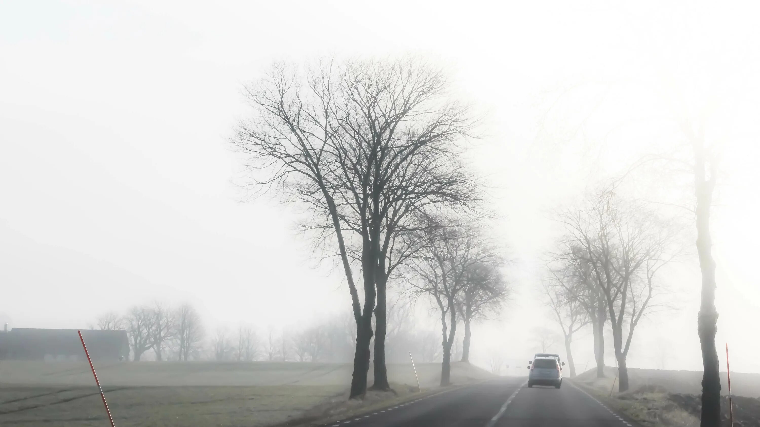 Road branch. Зимняя серость. At the road. Парк дорога. Road branch.