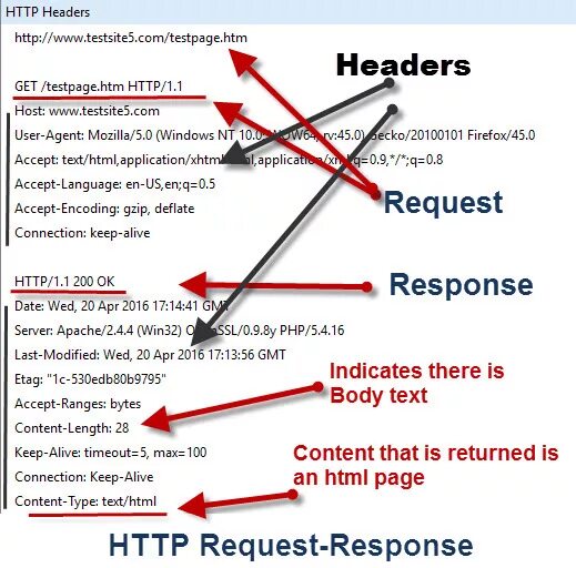 Заголовки запроса. Body header запроса. Request headers. Response headers. Header fields