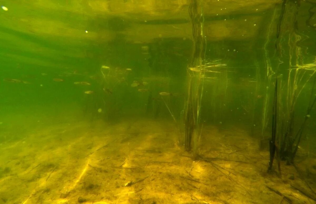 Речное дно. Дно реки. Река под водой. Мутная вода.