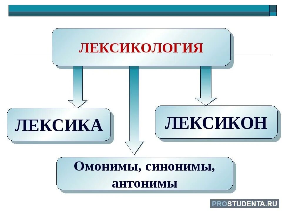 Символы лексики. Лексика. Лексика картинки. Рисунок на тему лексика. Лексика и лексикология.