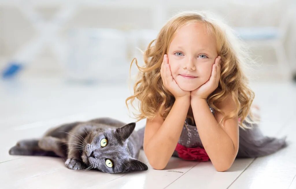 Породы кошек которые любят детей. Кошка для детей. девочка с котом. коты и дети. дети и кошки фотосессия.