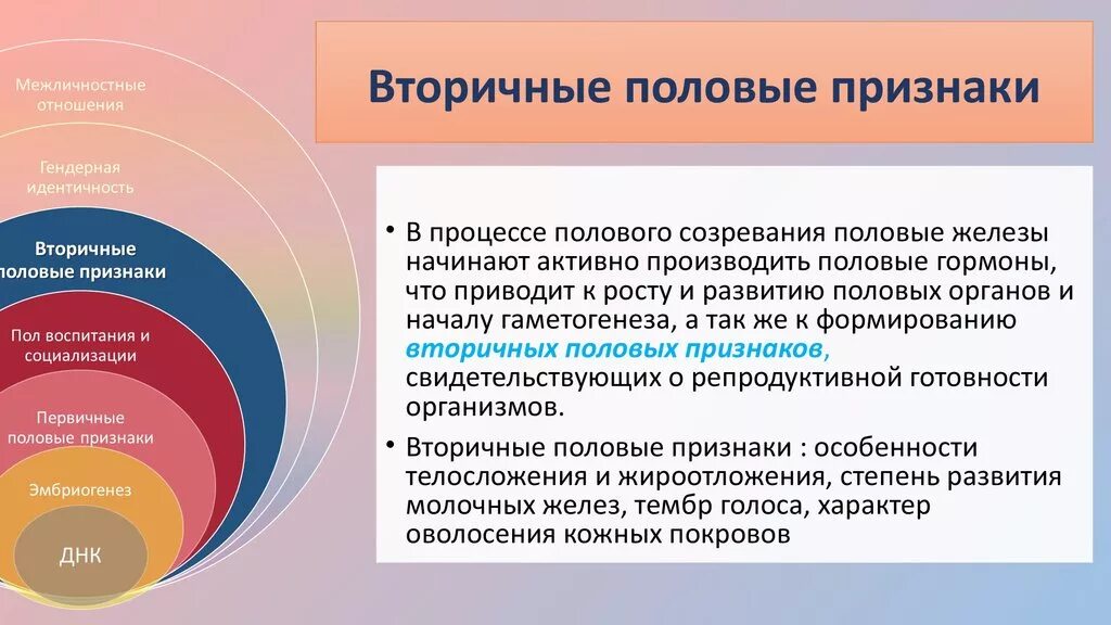 Первичные признаки мужчины. К вторичным половым признакам относят. К вторичным половым признакам девочек относятся. Первичные и вторичные половые признаки. К вторичным половым признакам у детей относятся:.