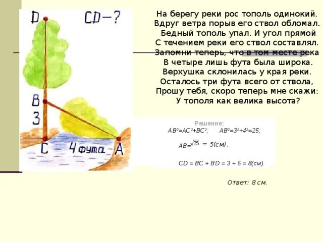 Расположен на обеих берегах реки. Высота тополя. одинокий тополь карта. на обоих берегах реки растет. как быстро растет тополь.