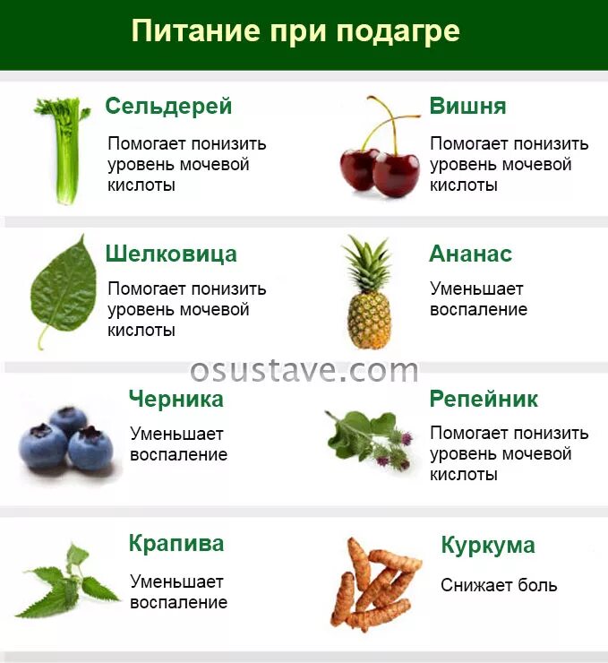 Что употреблять при подагре. Продукты при подагре запрещенные и разрешенные. запрещенные продукты при подагре на ногах список продуктов. диета при повышенном уровне мочевой кислоты в крови у мужчин. подагра диета запрещенные продукты для женщин.