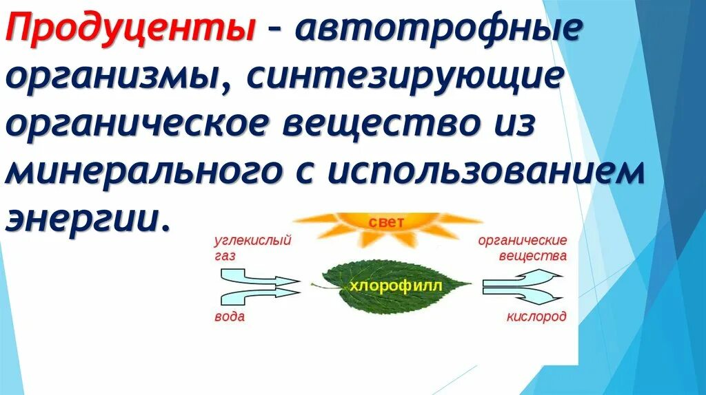 Автотрофные организмы. Архебактерии почвы. Использование энергии организмом. Цианобактерии автотрофы. Синтезируют органические вещества из неорганических.