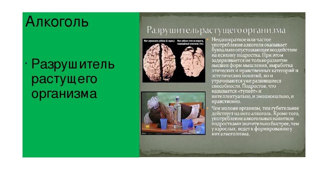 Алкоголь разрушитель. Разрушитель растущего организма. Алкоголь разрушитель растущего организма.