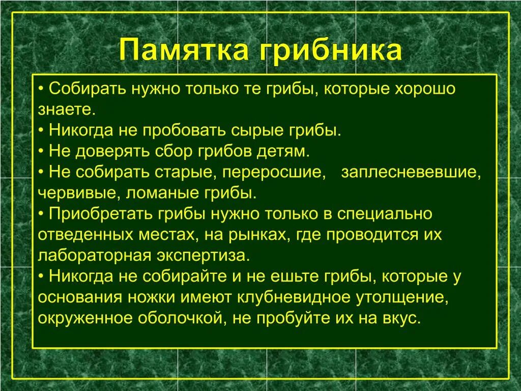 Памятка как собирать грибы. Памятка сбора грибов. памятка по грибам. памятка грибника. памятка по собиранию грибов.
