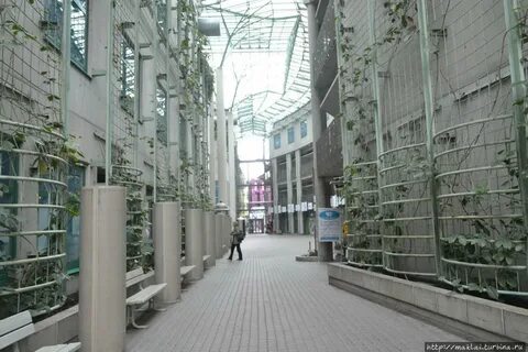 Библиотека садов