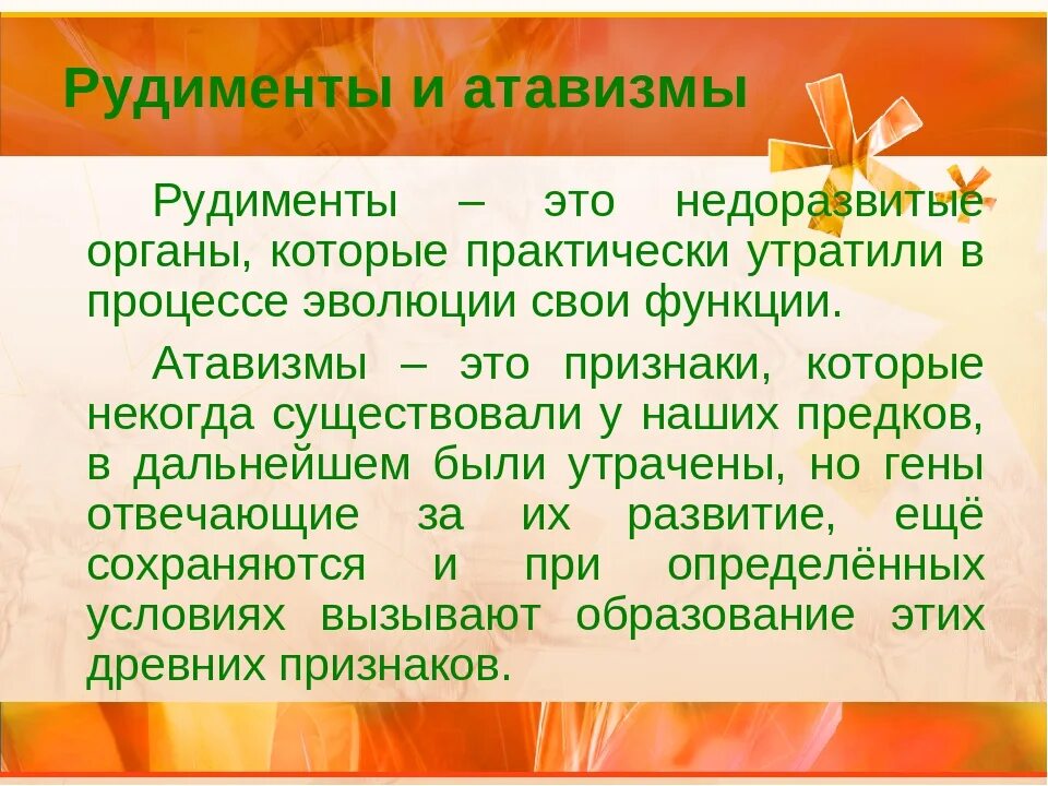 Рудименты и атавизмы определение. Определение рудименты и атавизмы. примеры рудиментов и атавизмов у человека. рудименты и атавизмы примеры животных.