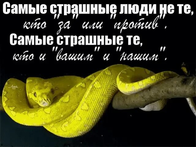 Что значит и вашим и нашим