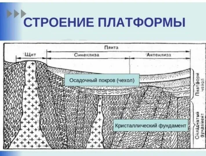 Примеры тектонических структур платформы. Осадочный чехол. строение платформы. фундамент и осадочный чехол. осадочный чехол платформ.