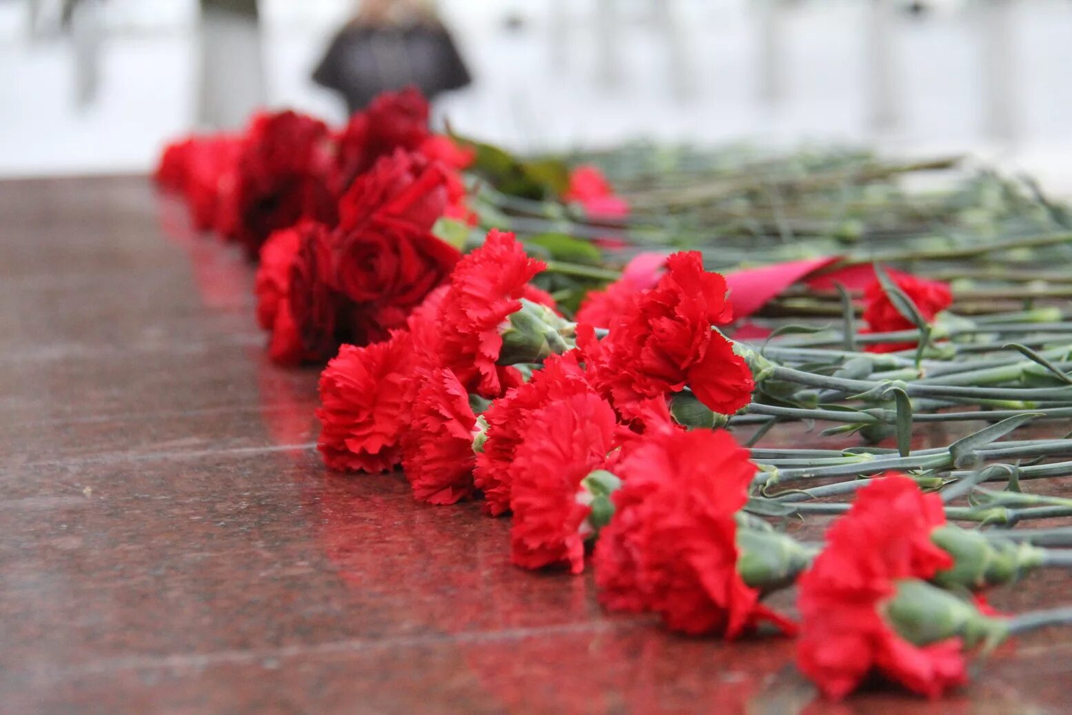 день памяти воинов афганистана. 15 февраля день памяти вывода войск из афганистана. памяти вывода из афганистана. вывод афганских войск из афганистана. день памяти воинов интарнационалистов афган.