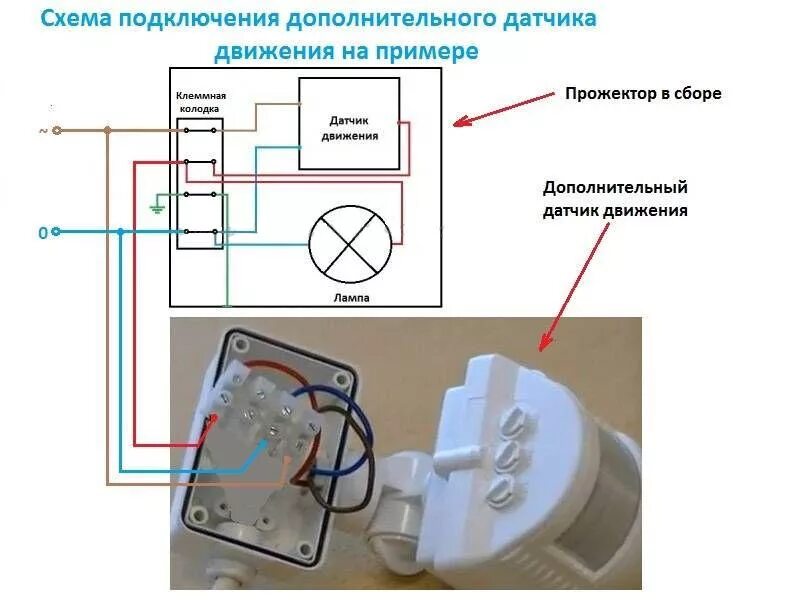 Лампочка через датчик движения. Схема подключения детектора движения для освещения. Датчик движения IEK ДД 008 схема подключения. Датчик движения двухпроводный схема подключения. Схема подключения датчика движения для освещения 4 провода.