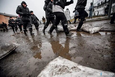 Бунт в коломне