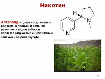 Алкалоид в чайных листьях 4