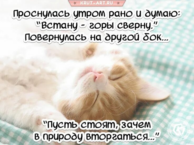 Уж не встаю