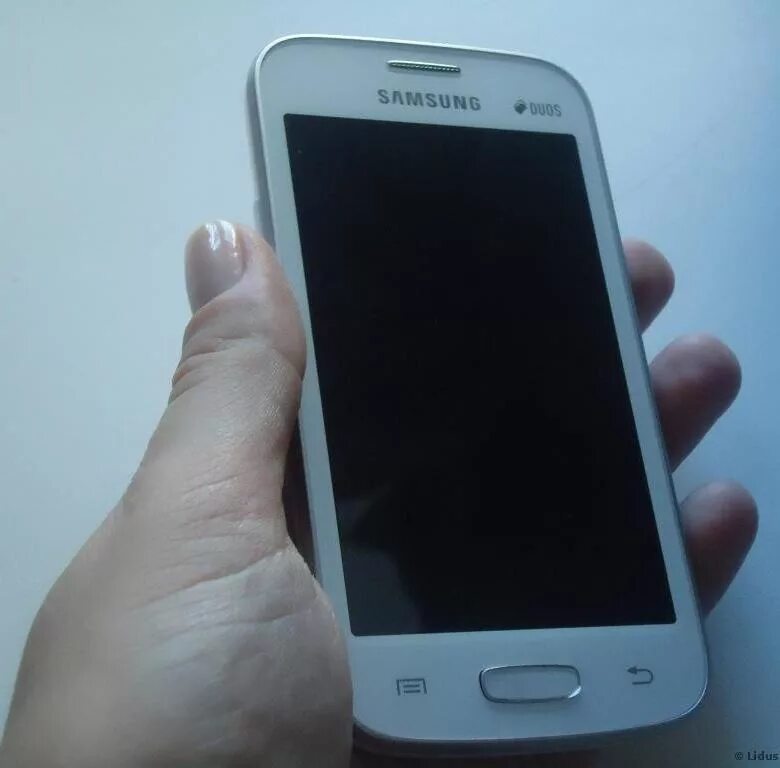 Смартфон без фронтальной камеры. Samsung Galaxy Star Plus s7262. Samsung Galaxy Star Plus gt-s7262. Самсунг gt s7262 красный. Самсунг дуос белый.