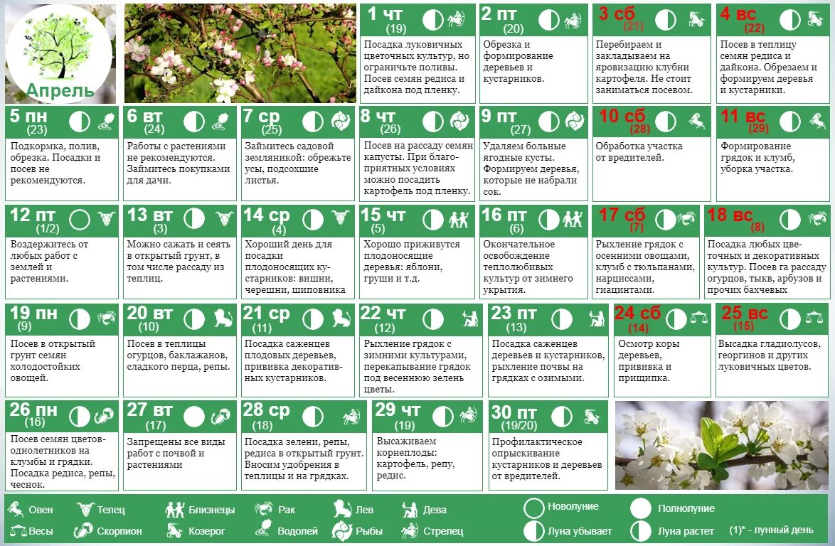 Календарь садовода на апрель месяц 2024 года. Посевной календарь. Календарь посадок. Лунный посевной календарь. Календарь посадок на этот год.