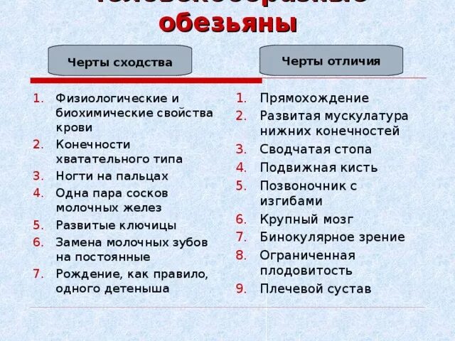 Различие между человеком и обезьяной. Сходства и различия человека и приматов. Черты сходства человека с приматами. Человек и обезьяна сходства и различия. Отличия и сходства человека и обезьяны.