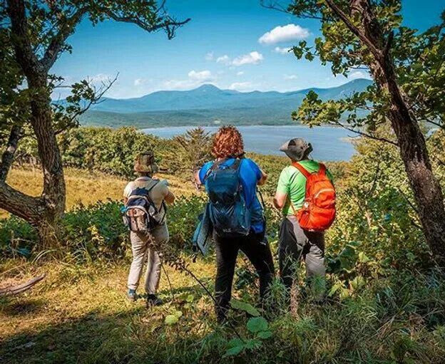Туризм в тайге. Бухта халдой. Тур по приморскому краю. Сихотэ алинь побережье японского моря фото. Экологический туризм в приморском крае.
