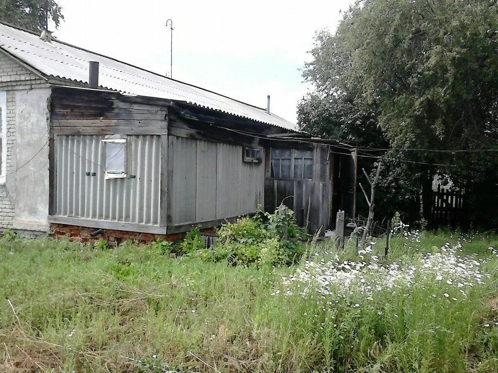 Погода в харитоново алтайский край