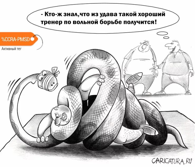 Двумя удавами. Удав карикатура. Змея карикатура. Карикатура на змею. Кобра карикатура.