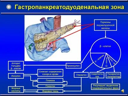 Рак поджелудочной железы прогнозы по сроку жизни