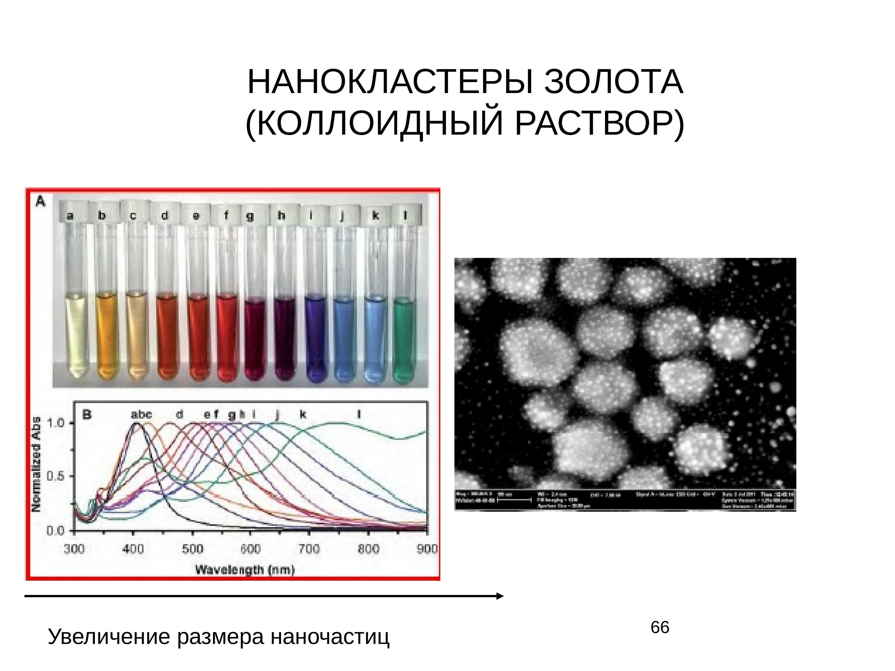 Размер наночастиц. Наночастицы коллоидного золота. нанокластеры золота. коллоидные нанокластеры.