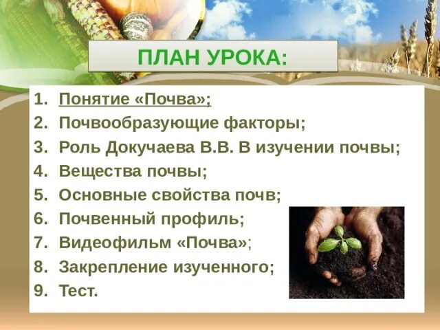 Характеристика почвы 5 класс биология. Среды обитания почвенная среда. Основные характеристики почвенной среды. Почвенная среда обитания характеристика среды. Почвенная среда обитания характеристика.