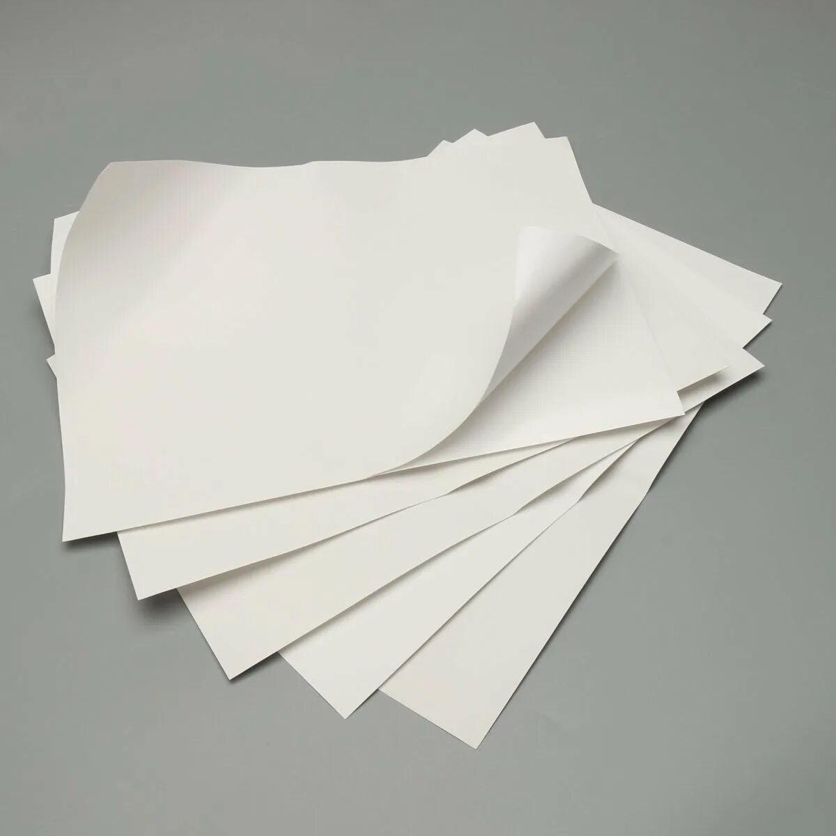 Sheet of paper