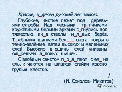 Глубокие и чистые под деревьями сугробы