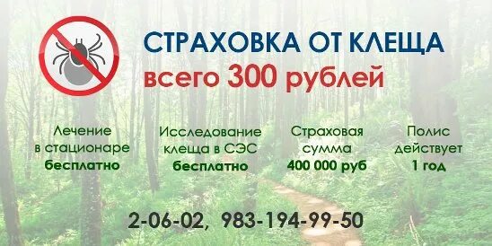 Что дает страховка от клеща