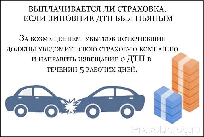 Страховка на машину виновник. ДТП страховка. ДТП со страховкой виновник. У виновника ДТП нет страховки. Страховая компенсация при ДТП.