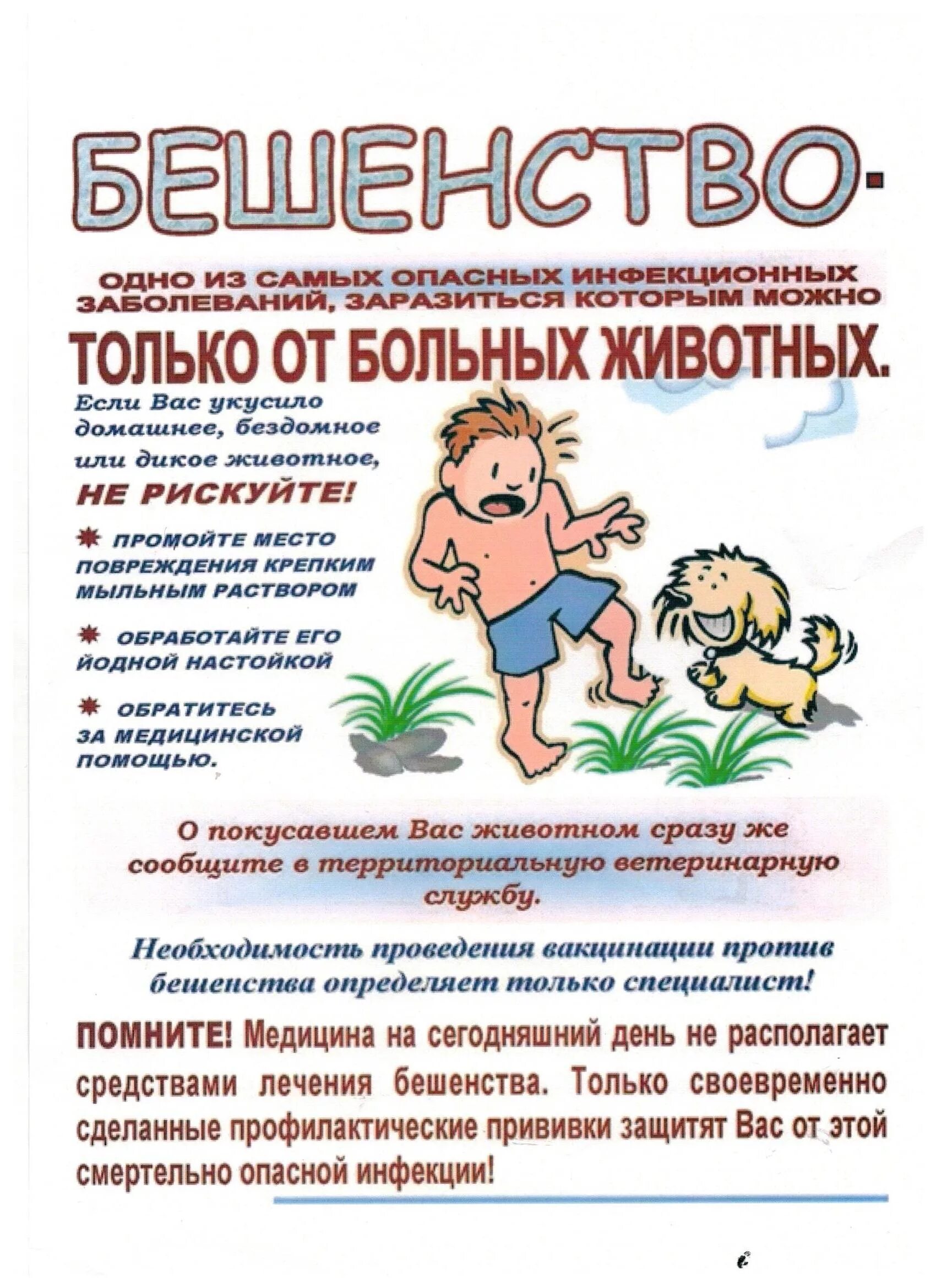 Содержание бешеный