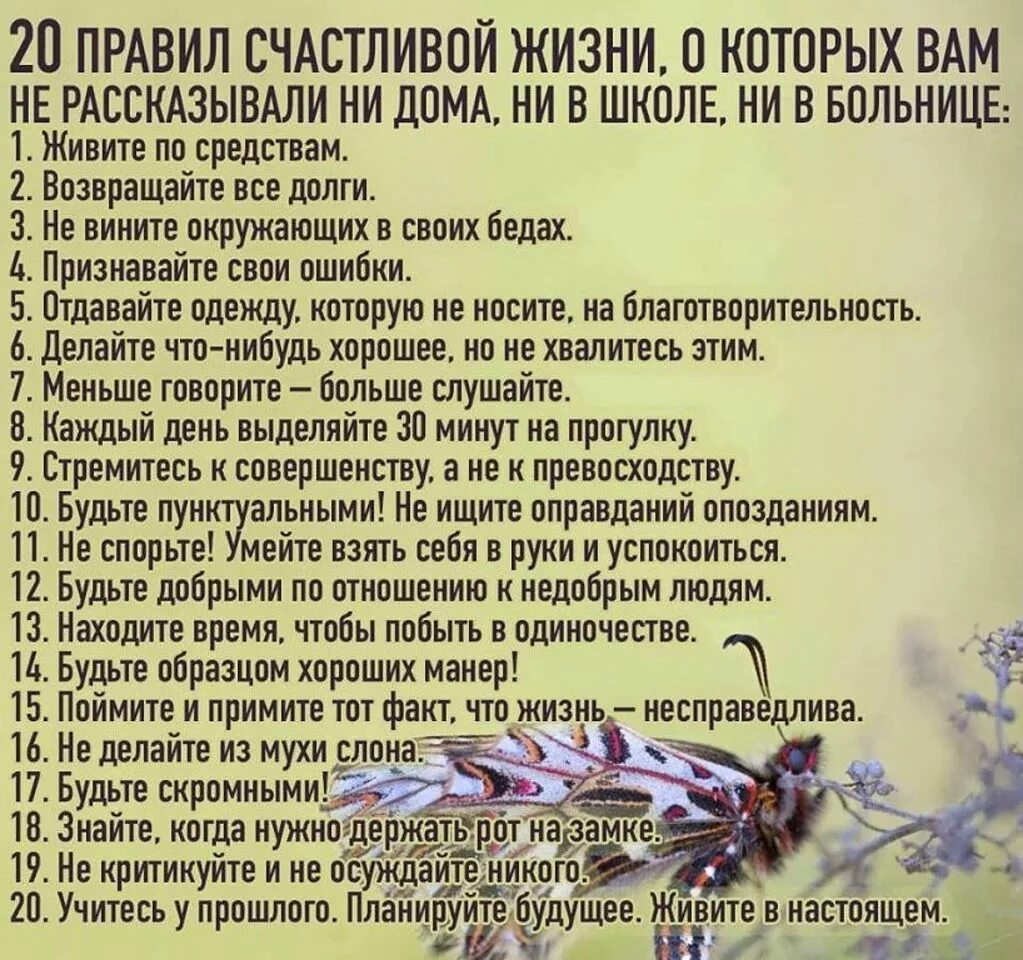 Советы для счастливой жизни. 20 Правил счастливой жизни о которых вам не рассказывали. Мудрые советы. Жизненные правила. Духа на каждый день