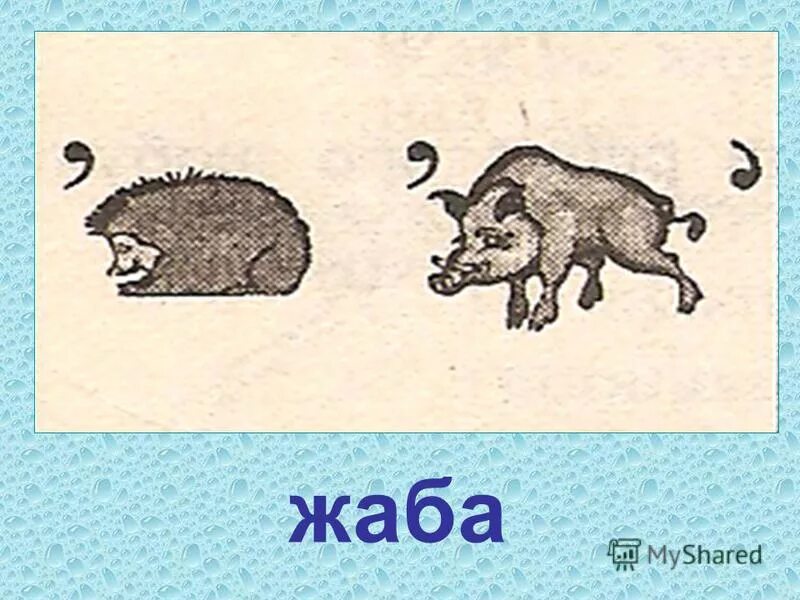ребус лягушка. ребус лягушка. ребус лягушка. ребус жаба. загадка про лягушку для детей.